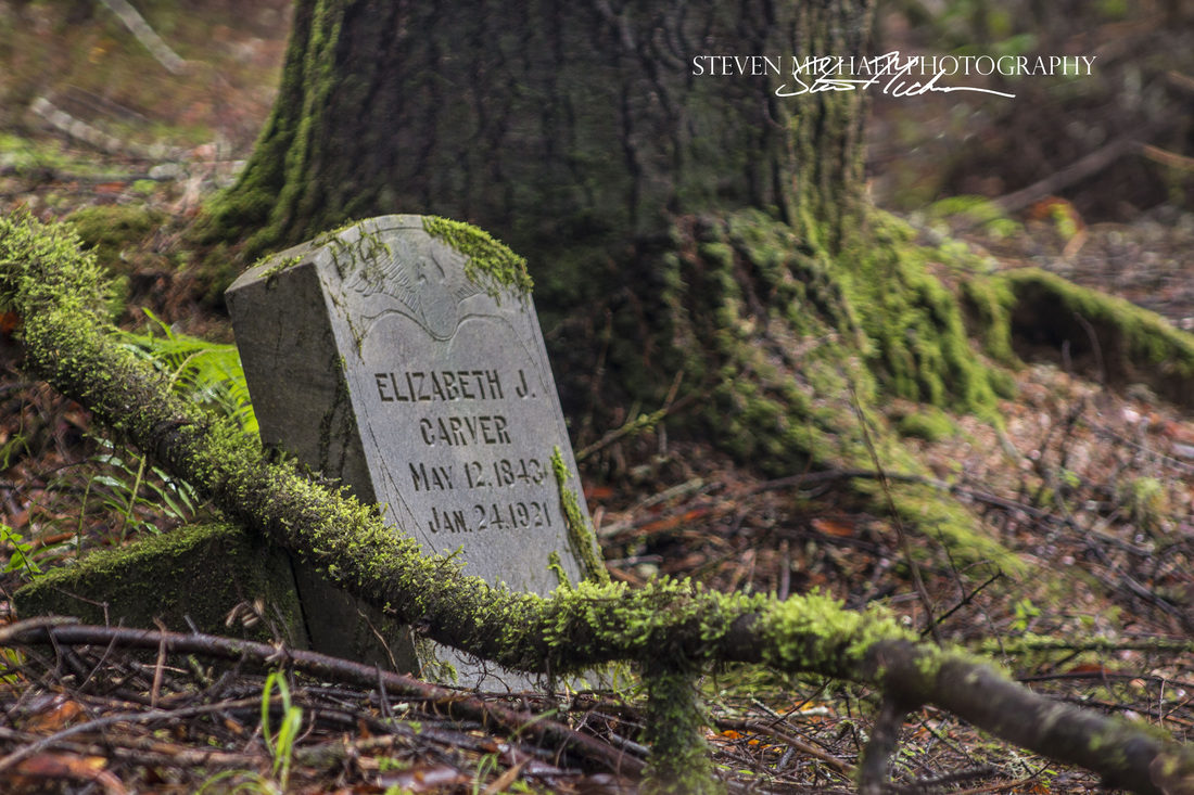 old forest in headstone